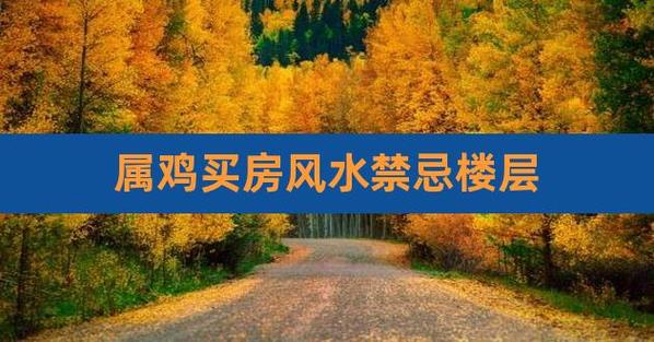 2023年属鸡的可以买房吗
