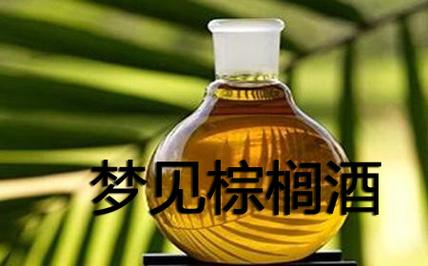 梦见棕榈酒怎么回事