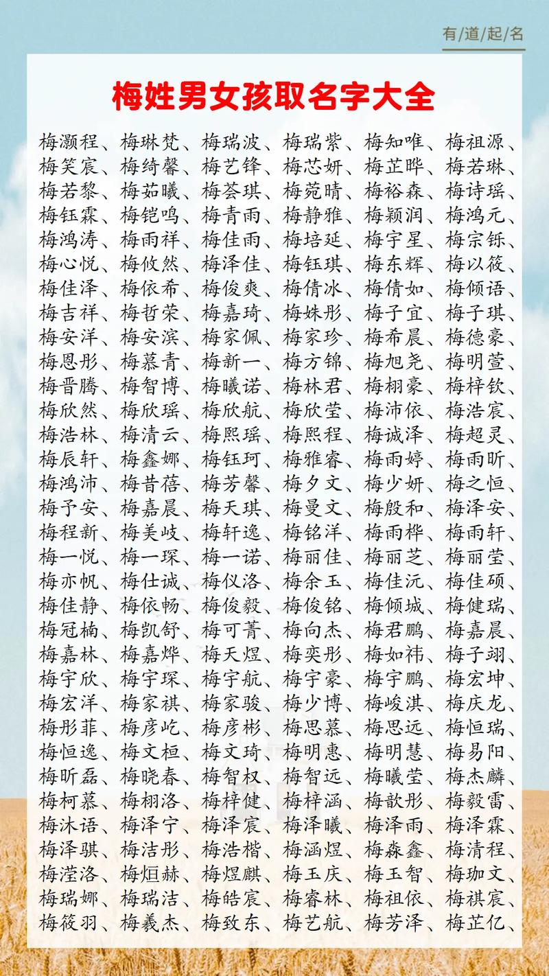 姓梅女生优雅名字