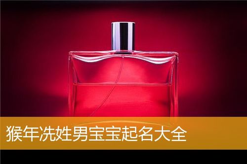 属猴的冼姓男宝宝名字