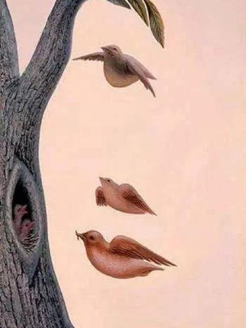 心理测试:哪只鸟正准备飞走?测测最让你念念不忘的人是谁?
