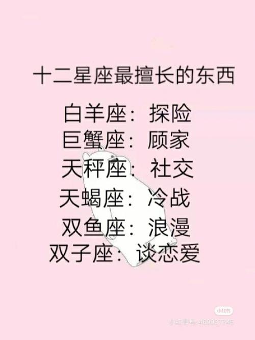 12星座擅长的事情