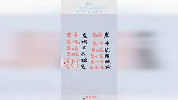 十二生肖老婆大排名,你能排第几?