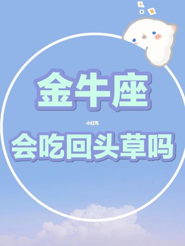 金牛男会吃回头草吗