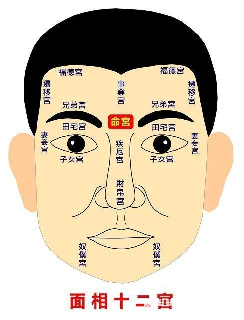 告诉你看相的基本格局