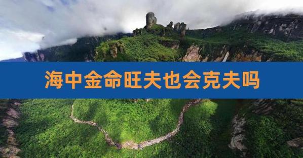 海中金命戴金饰好吗