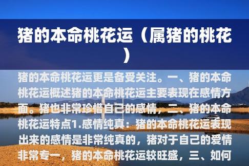 2019年4月属猪的人桃花运怎么样,如何提升桃花运