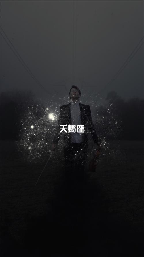 天蝎座最适合的男人星座