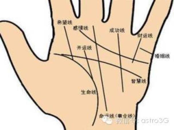 求财无路怎么办?看手相选择外出发展