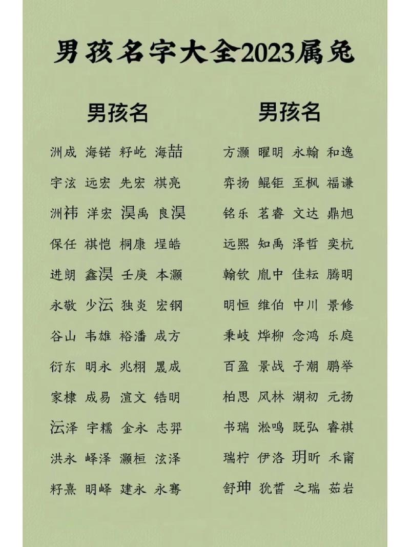 属兔的米姓男宝宝名字
