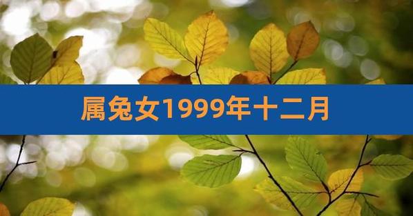 1999年属兔女孩的命运