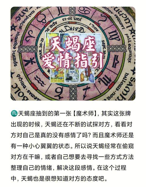 天蝎女和射手男的缘分