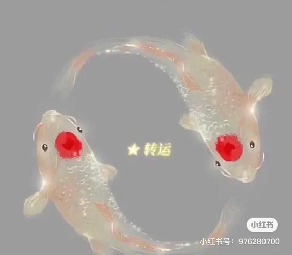 事事不顺怎么转运