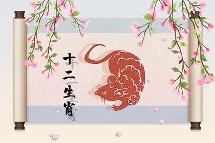 84鼠年2020年运势及运程