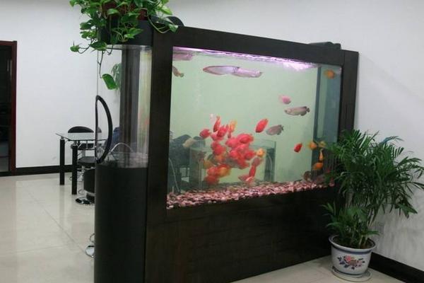 风水池摆放办公室哪个位置