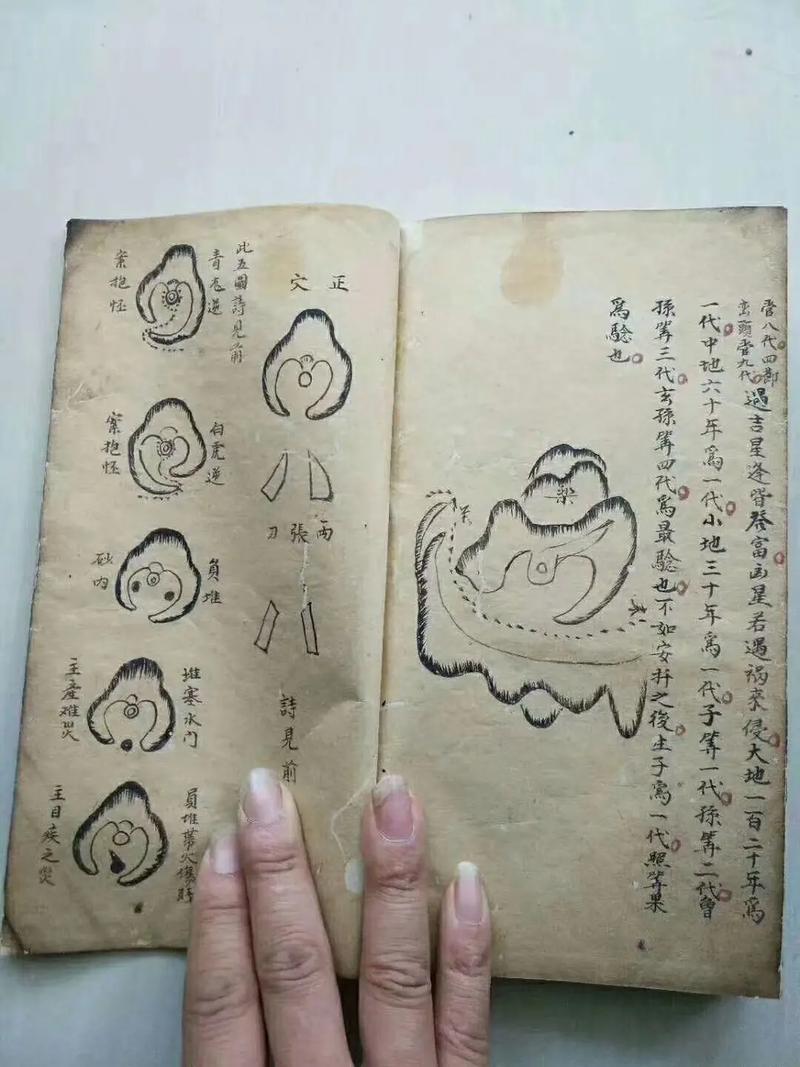 风水化解秘籍(风水化解秘籍在线阅读)