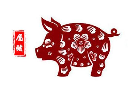 滴天居士2017年8月生肖猪运势