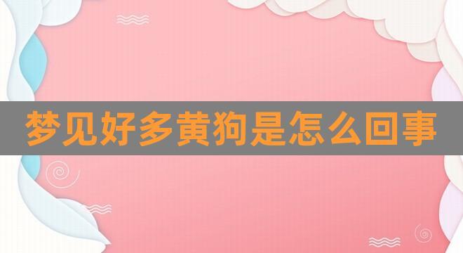 梦见黄狗是什么意思
