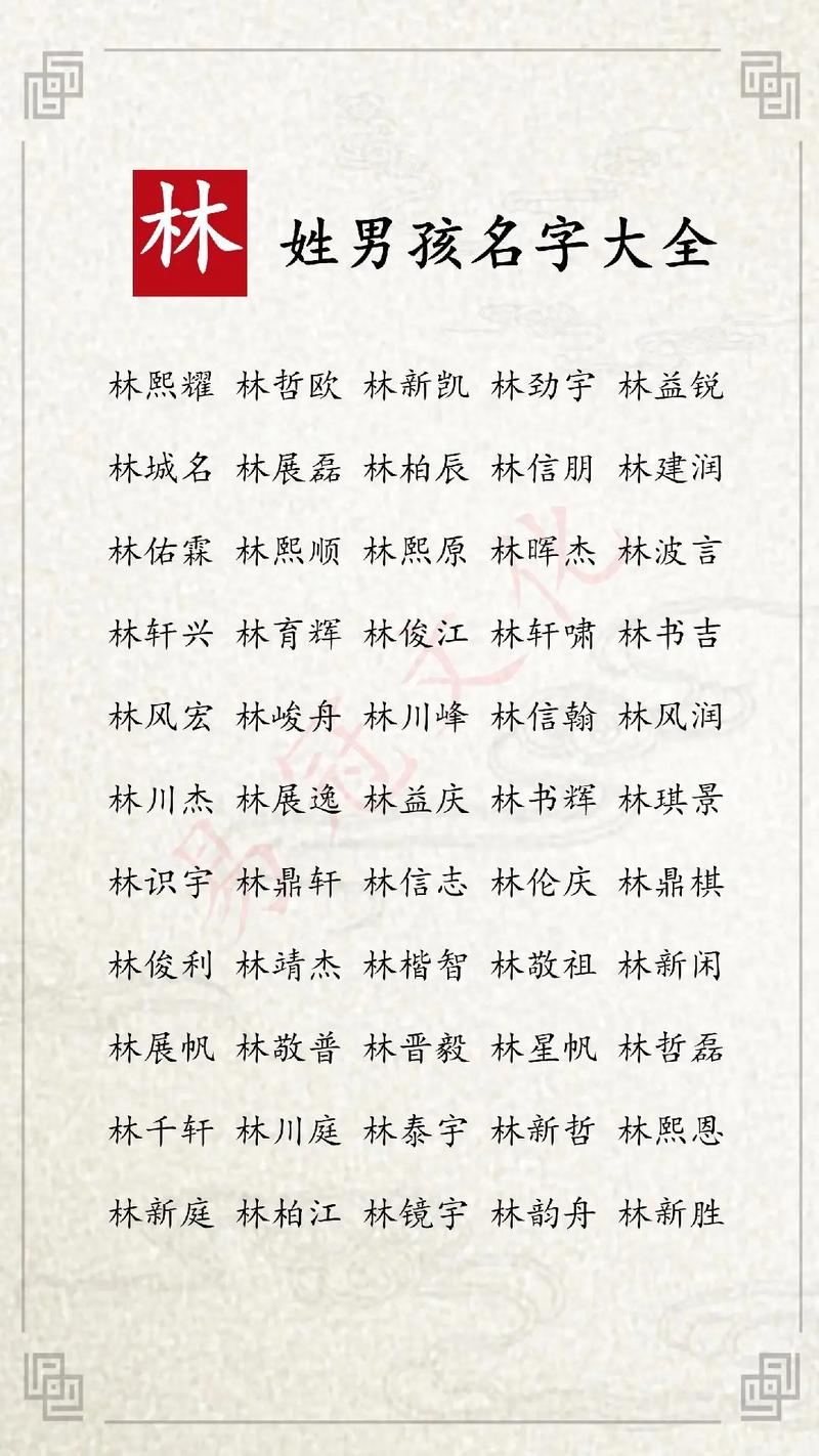林姓取一个独特的名字