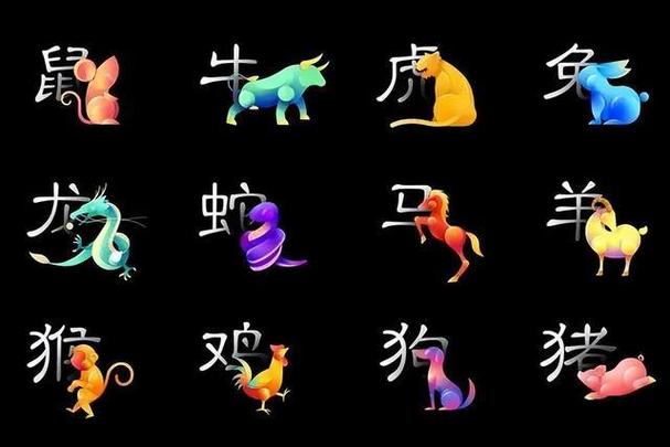 爱情需要别人撮合的生肖