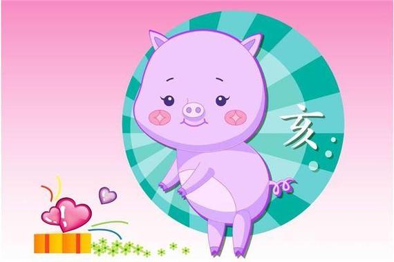 71属猪的人十年大运