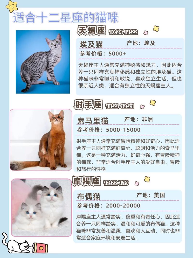 十二星座哪几个星座最适合