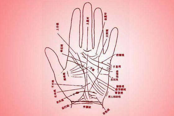 女手相命理看财运