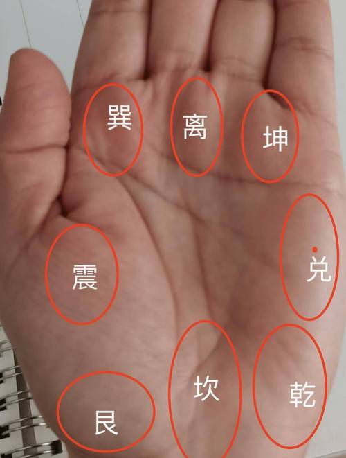 手相没有成功线前程不可估量吗