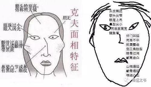 夭相是什么意思