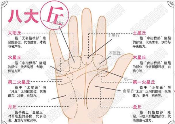 事业线长说明什么?容易在事业上获得成功