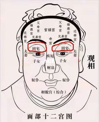 天相星坐守十二宫——田宅宫