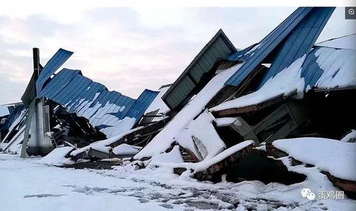 梦见雪灾好多人冻死了是什么意思
