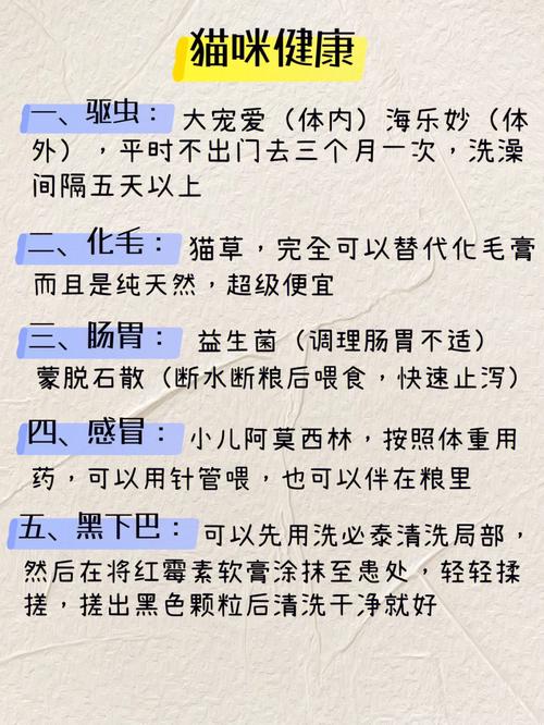 养猫风水讲究 养猫的风水学