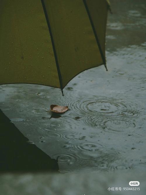 家门口长期放一把雨伞