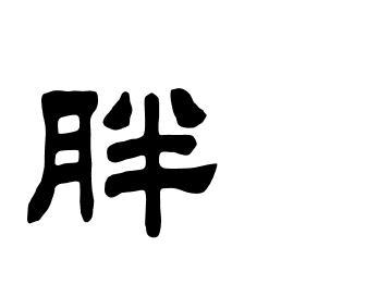 带胖字的名字好听