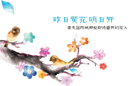 昨日黄花五行吉凶_昨日黄花成语故事