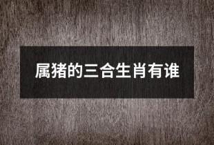 属猪的三合生肖是什么