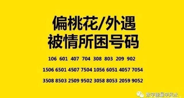 7687数字磁场解析
