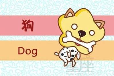 2021年05月31日属狗今日运势及运程详解