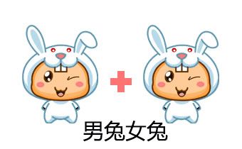 属兔女和什么样的男生合得来