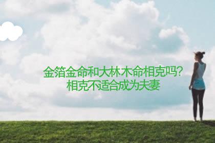 金箔金命和大林木命在一起好吗
