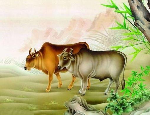 属牛人哪天出生命最好,生肖牛几月生能走好运