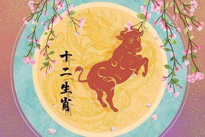 2017年,新的一年迎来家庭幸福的生肖