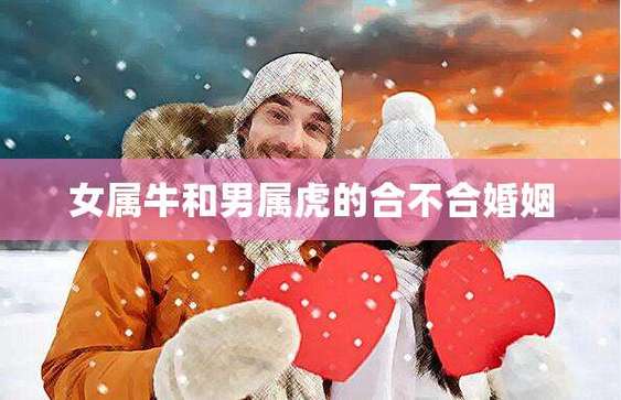 属虎和属牛的婚姻如何