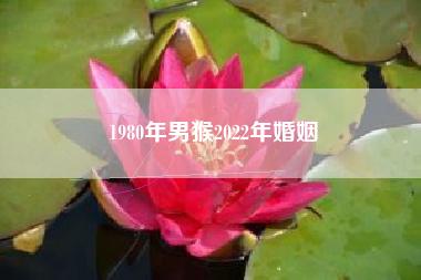 1980年属猴人的婚姻:猪猴不到头