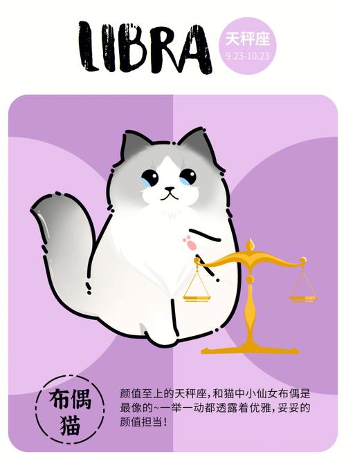这三大星座主要还是看气质!