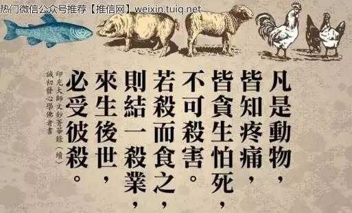 梦见佛之歌是什么意思
