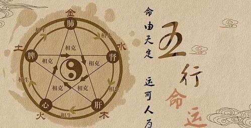 什么时候出生旺后人