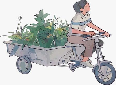梦见骑三轮自行车