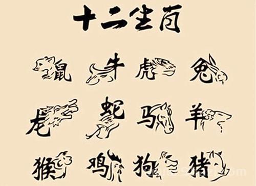 与牛属相相克的动物有哪些?